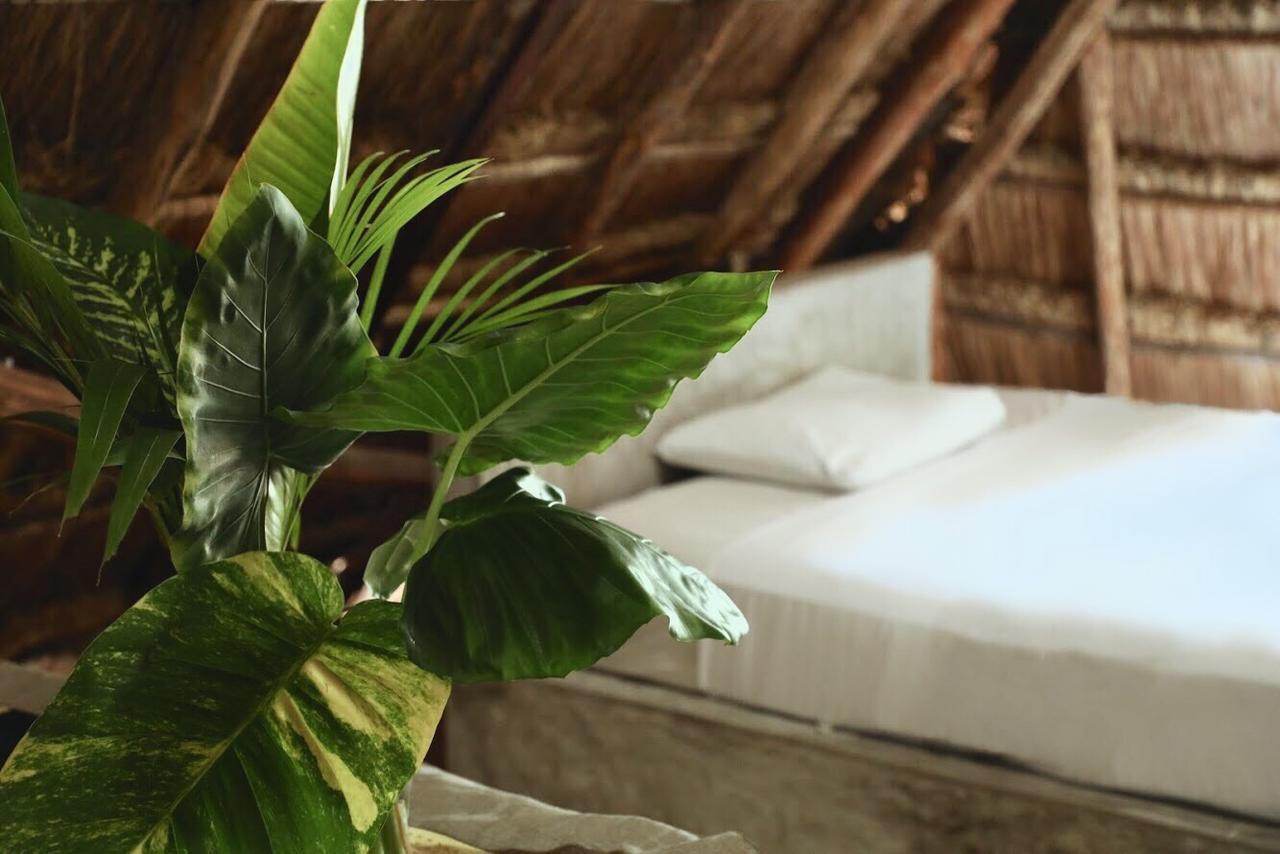 Tuup Jungle Aparthotel Tulum Luaran gambar